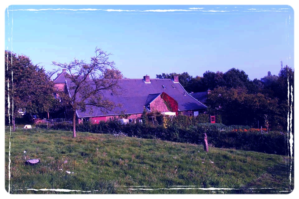Schiffelerhof - Heerlen