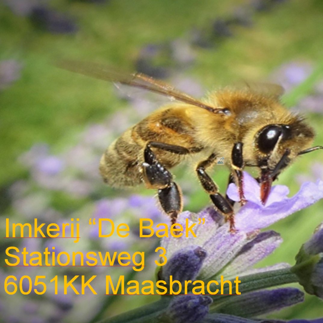 Imkerij "De Baek" - Maasbracht